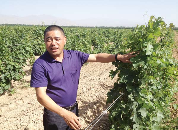 Yinchuan, destined to be China's wine capital