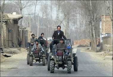 Farmers in Qinghai are facing a fresh outbreak of foot-and-mouth disease, with 51 head of cattle affected in the northwestern province.[AFP]