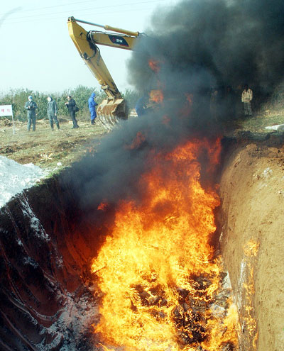 Bird flu drill in Shandong