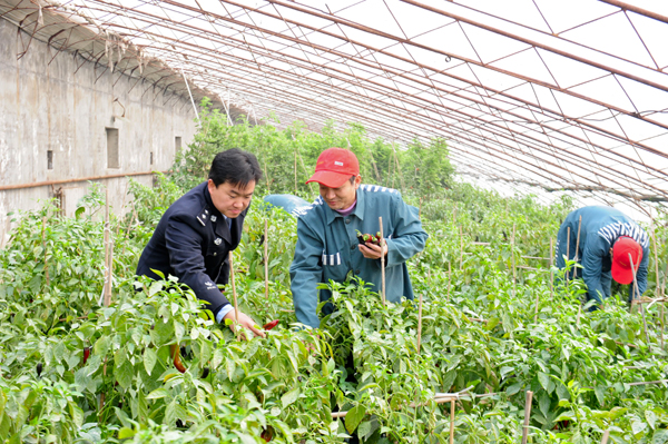 The number of people found drunken driving has dropped sharply across the country since harsher punishments took effect on May 1. Drop in number of drunken drivers caught