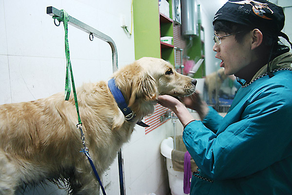 Dog and cat 'hotels' give owners peace of mind Dog and cat 'hotels' give owners peace of mind