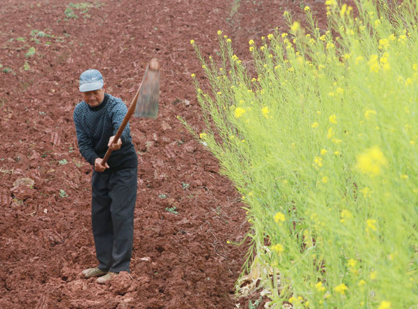 A farmer works the land in Dutang village, Sichuan province, after clouds were seeded to bring much-needed rain. The area has been experiencing a prolonged drought since last year. Lan Zitao / for China Daily Consequences of long drought devastating