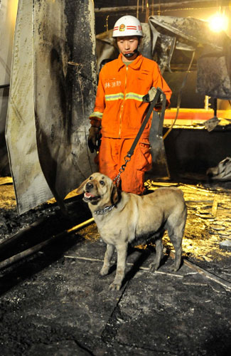 A firefighter with a dog searches for survivors inside the burnt poultry slaughterhouse owned by the Jilin Baoyuanfeng Poultry Company, June 3, 2013. Poultry plant fire death toll rises to 120