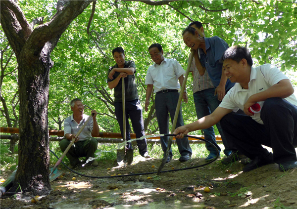 Government officials from the water conservancy bureau help farmers water trees in Tumd Right Banner, North China’s Inner Mongolia N China farmers get help from govt officials