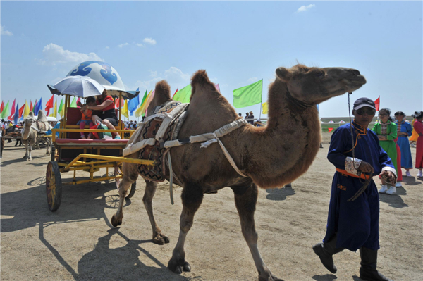 A herdsman drives his LeLeChe, a traditional form of transport of Inner Mongolians at the opening ceremony of the 24th Tourism Naadam Festival Naadam Festival trots into town for wild games