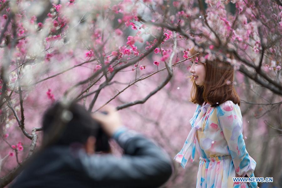 People view plum blossoms at scenic area in E China