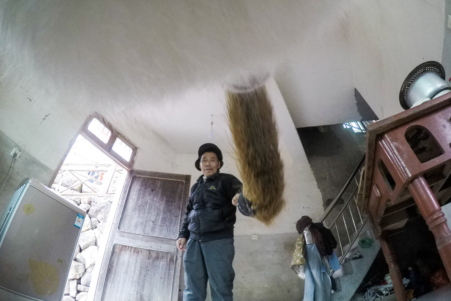 Call of the wild: An urban pet dog's village holiday caught on camera