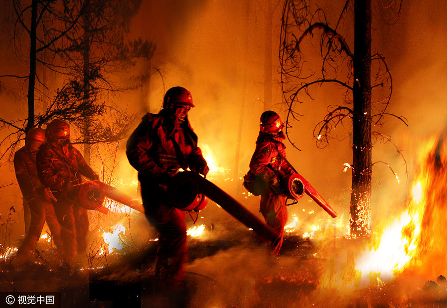 Soldiers who safeguard China's 'green treasure'