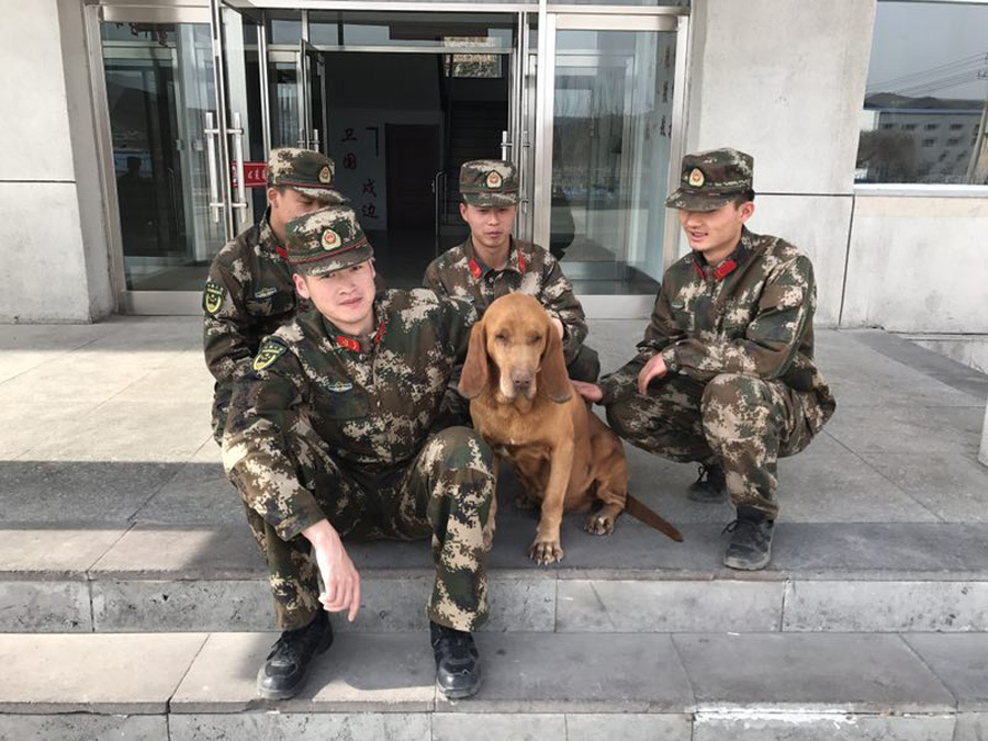 Bomb-sniffing dog retires after 7 years' service