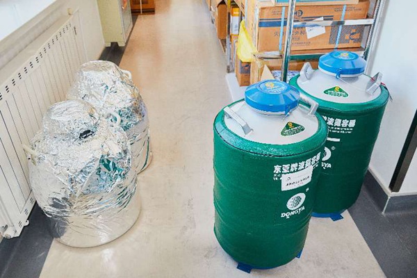 Dalian center gives hope to women, new life to embryos