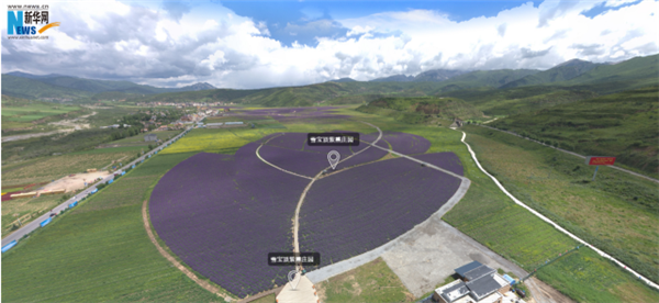 Now and then: Damage to quake-hit area in Sichuan