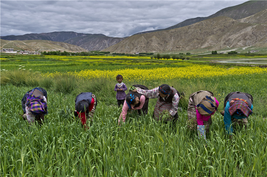 Wide-angel view of Tibet