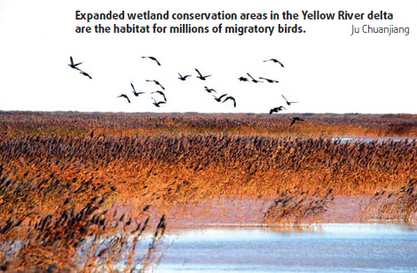 Shandong Special: Yellow River creates more land - and investment