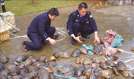 Wildlife smuggling becoming rarer but has not gone extinct