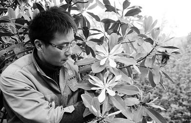 Rare tree blooms after 30 years