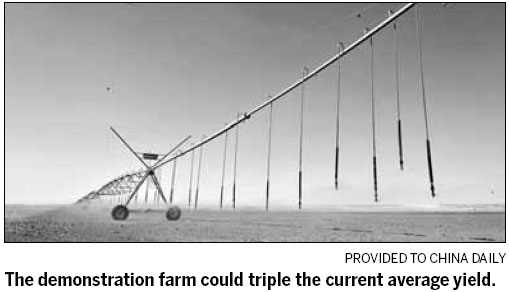 Company Special: PepsiCo's pilot project for potato farming in Ningxia