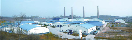 Henan Special: Farmers find better life in newly built planned communities