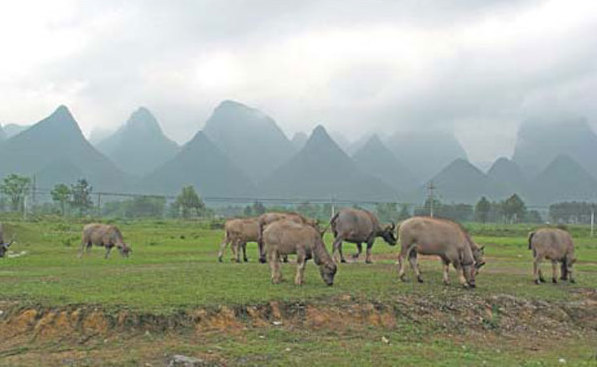 Village that time forgot