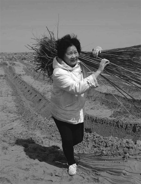 Making the deserts bloom