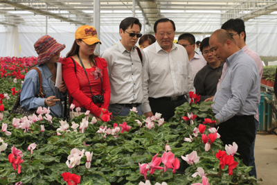 山東援疆:正在實(shí)施的一場深刻變革