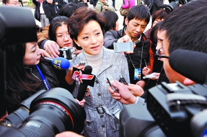 明星委員低調(diào)秀名牌 宋祖英學(xué)乖掩藏logo(圖)