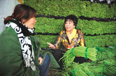 代表委員會(huì)前忙