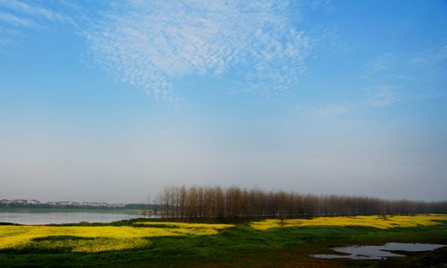 探訪湘江:千年守望 ——走進(jìn)汨羅市屈子祠鎮(zhèn)