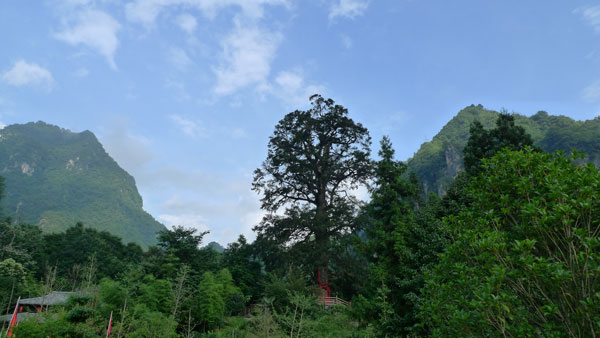 走進(jìn)避暑勝地神農(nóng)架(組圖)