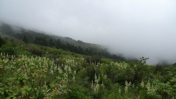 走進避暑勝地神農(nóng)架(組圖)