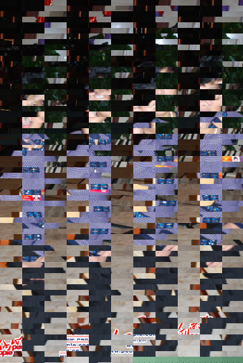 遲夙生代表:對(duì)民訴法草案的三點(diǎn)建議