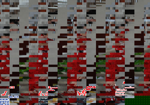 代表：改變“雙軌制”讓企業(yè)退休人員也能過滋潤(rùn)