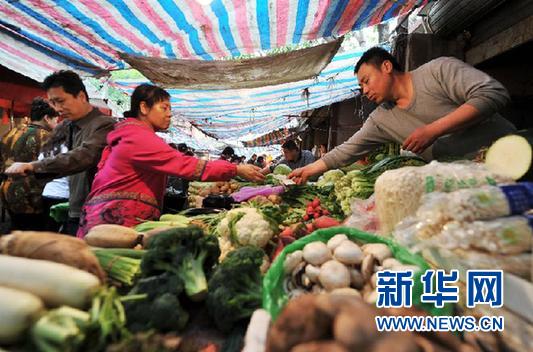 基層代表委員關(guān)注九大民生話題