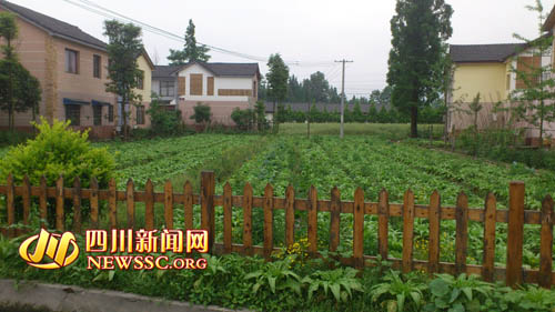 都江堰新農(nóng)村 來了就不想走