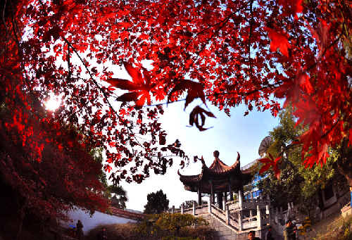 古井貢:打造中華酒文化的新標桿