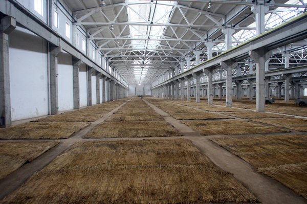 古井貢酒的品質(zhì)“守護(hù)神”