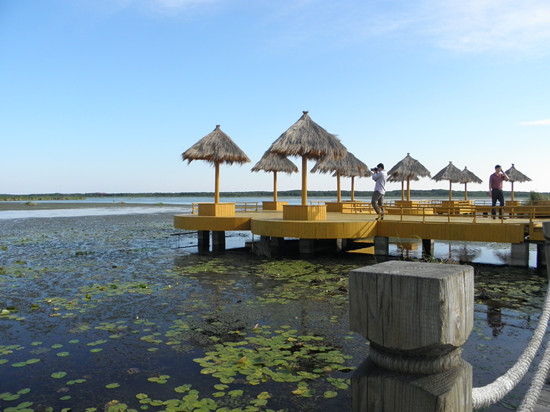 專項(xiàng)資金治理興凱湖 還動(dòng)物一個(gè)更美的家(圖)