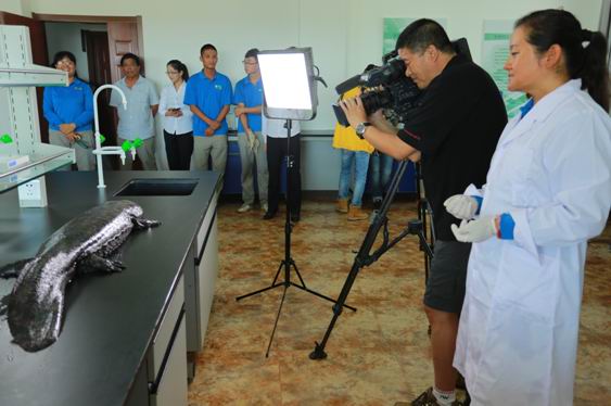 《美麗中國(guó)·濕地行》沙湖專題片9月3日央視播出