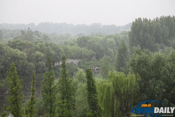 聚焦城市之肺 白浪河濕地幽雅靜謐成北方“煙水江南”