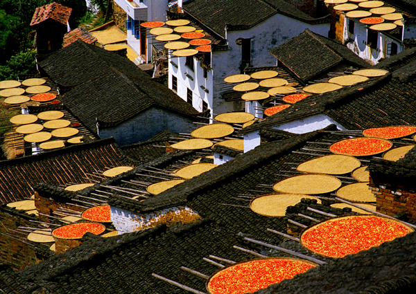 婺源：中國最美鄉(xiāng)村