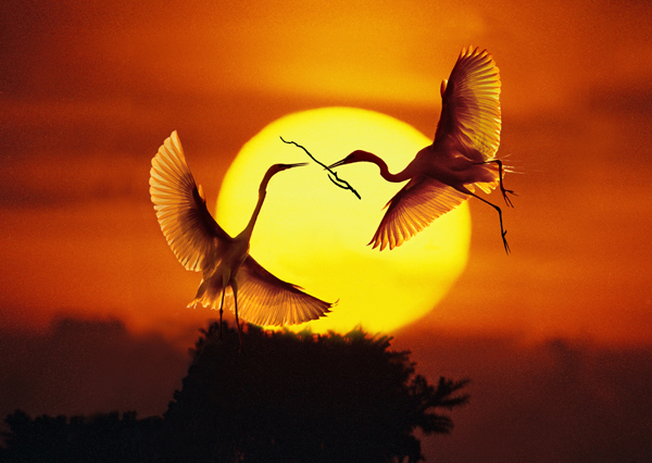 鄱陽:風(fēng)光旖旎 詩情畫意