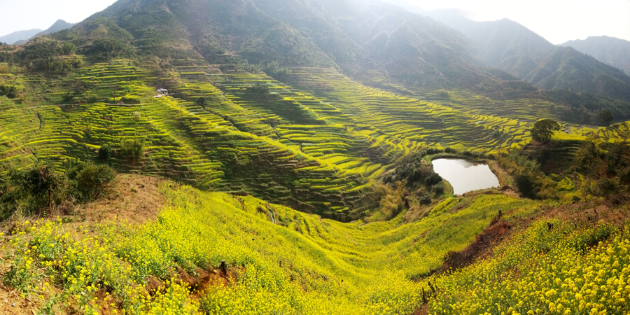 婺源篁嶺:一個美麗山村的童話
