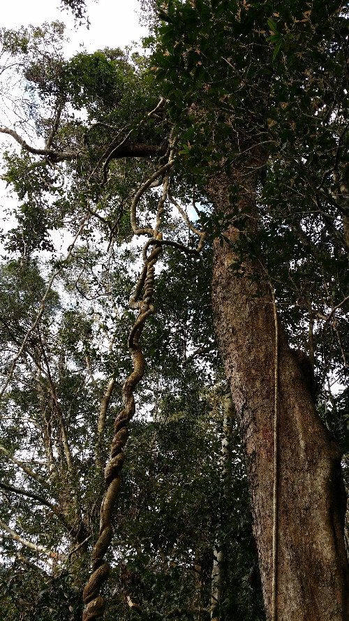 海南樂東地產(chǎn)經(jīng)濟(jì)突顯獨特的自然環(huán)境優(yōu)勢