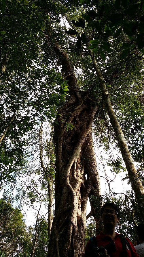 海南樂東地產(chǎn)經(jīng)濟(jì)突顯獨特的自然環(huán)境優(yōu)勢