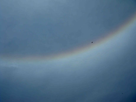 福州市上空突現(xiàn)日暈奇觀 專家稱實(shí)屬少見(jiàn)