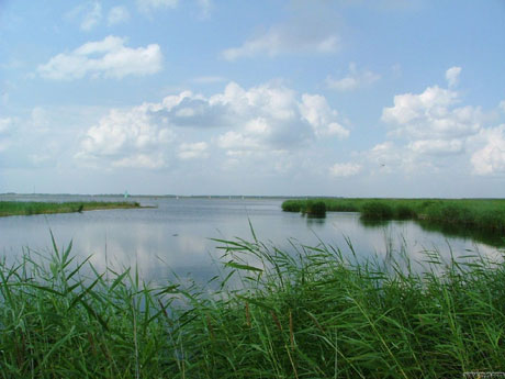 水禽樂(lè)園——扎龍自然保護(hù)區(qū)[圖]