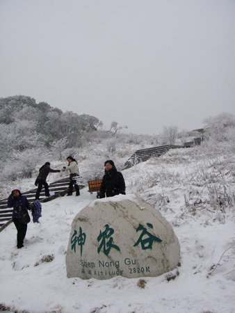 神農(nóng)架婦女節(jié)里喜降桃花雪