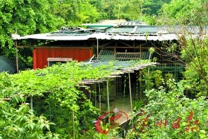 深圳房價(jià)逼近2萬 低價(jià)集裝箱房租賃紅火(圖)