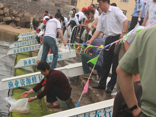 山東省實(shí)施大規(guī)模海洋增資放流修復(fù)漁業(yè)資源