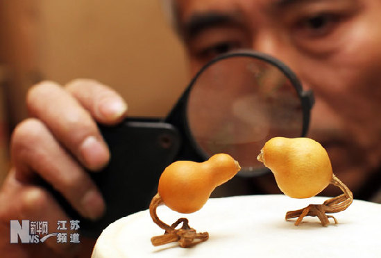 南京驚現(xiàn)“天價(jià)葫蘆”