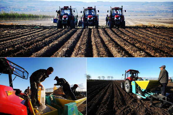 克山:現(xiàn)代化大農(nóng)機(jī)春耕“唱主角”